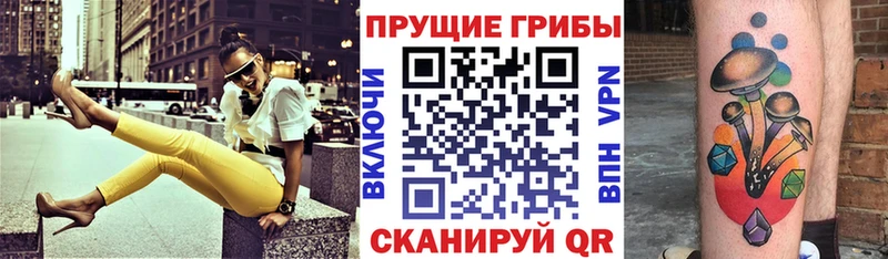 где можно купить наркотик Новокубанск Псилоцибиновые грибы GOLDEN TEACHER